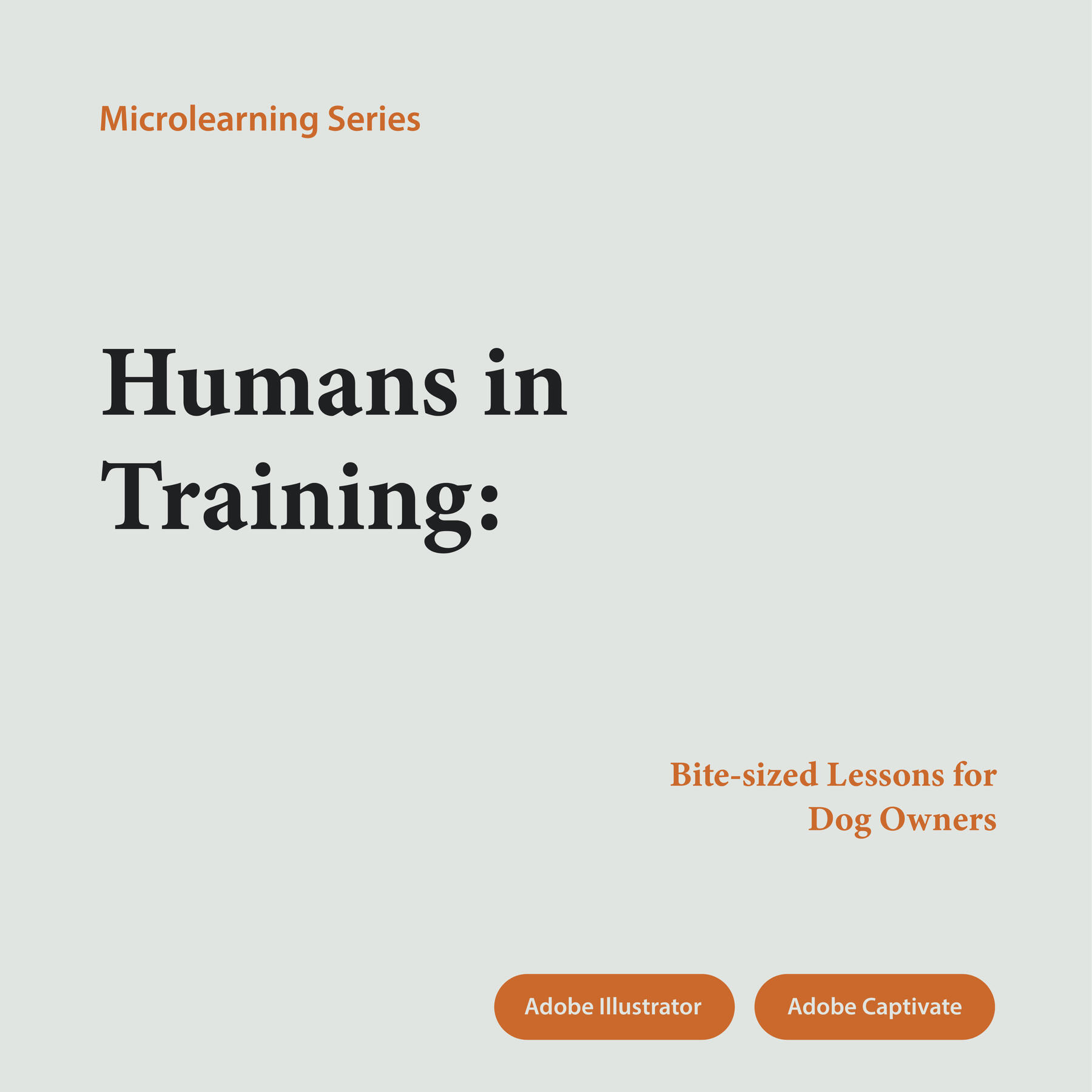 Adobe Illustrator | Adobe Captivate